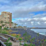Estudio Dos En Martianez * Puerto de la Cruz