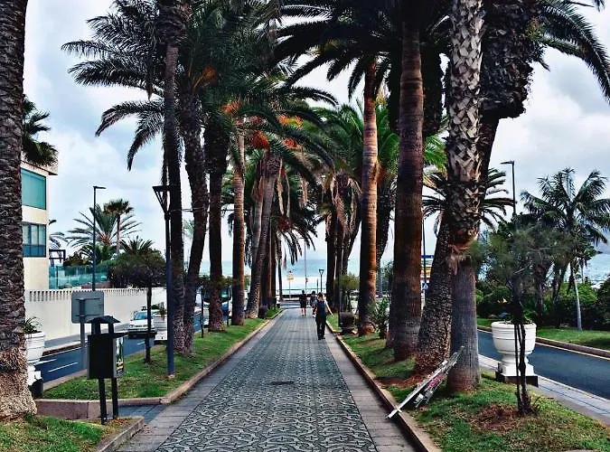 Estudio Dos En Martianez דירה